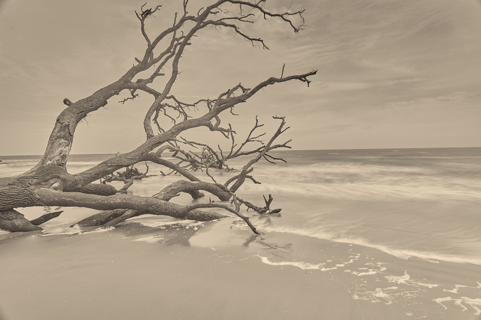 Fine art landscape photography of boneyard reach in the South Carolina Lowcountry by Patrick J. Quigley
