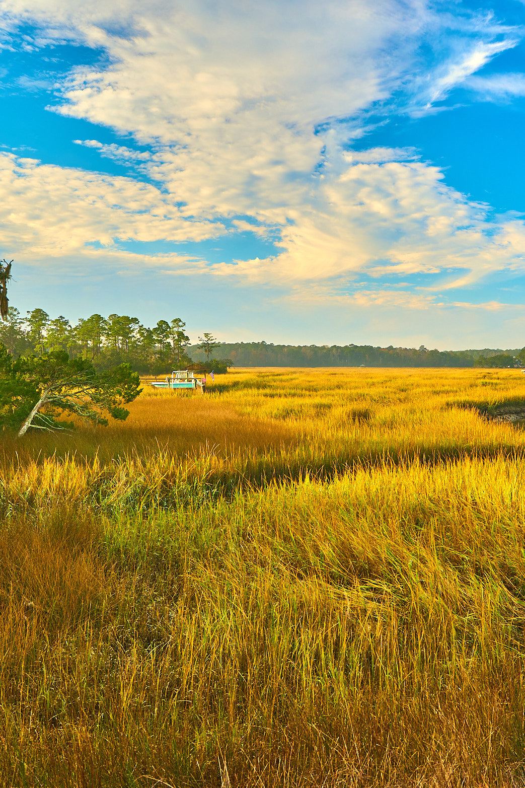 Fine art landscape photography of harvest marsh in the South Carolina Lowcountry by Patrick J. Quigley