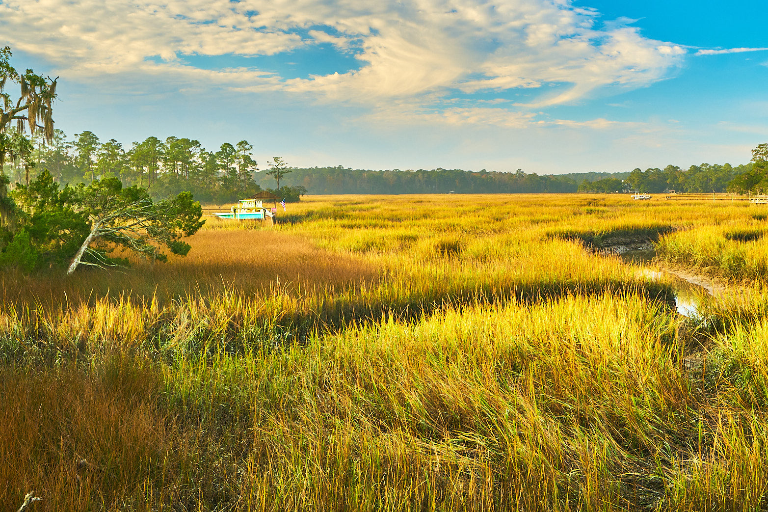 Fine art landscape photography of lowcountry fall in the South Carolina Lowcountry by Patrick J. Quigley