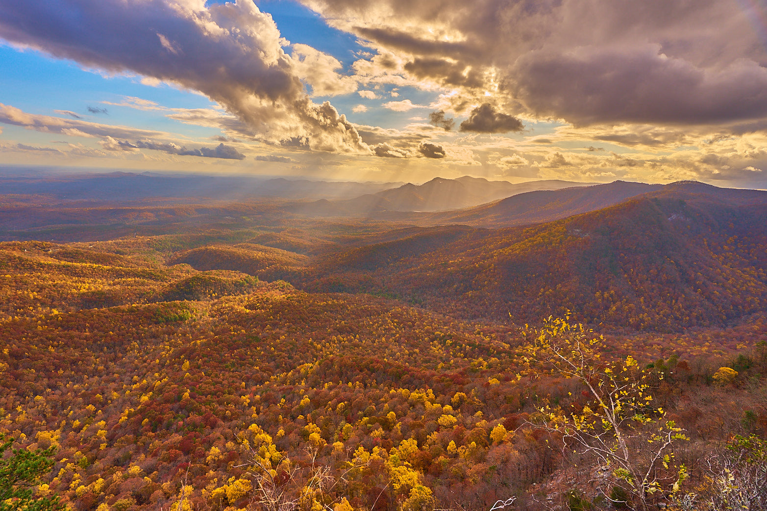 Fine art landscape photography of blue ridge autumn in the South Carolina Lowcountry by Patrick J. Quigley