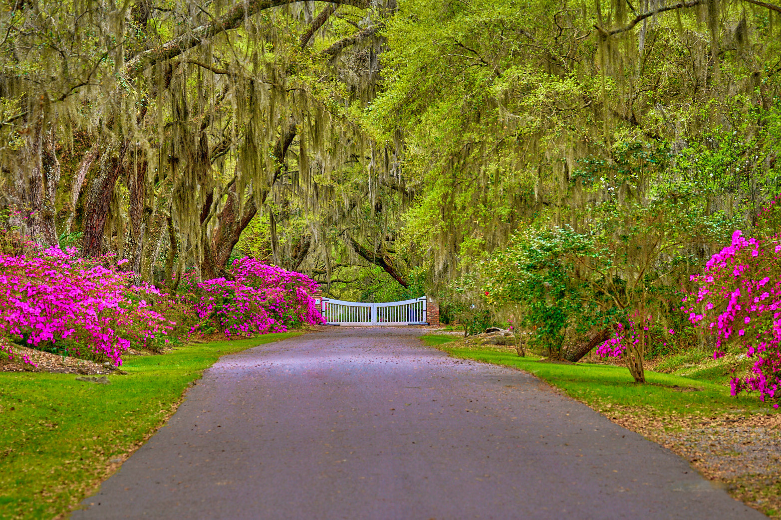 Fine art landscape photography of the passage by Patrick J. Quigley