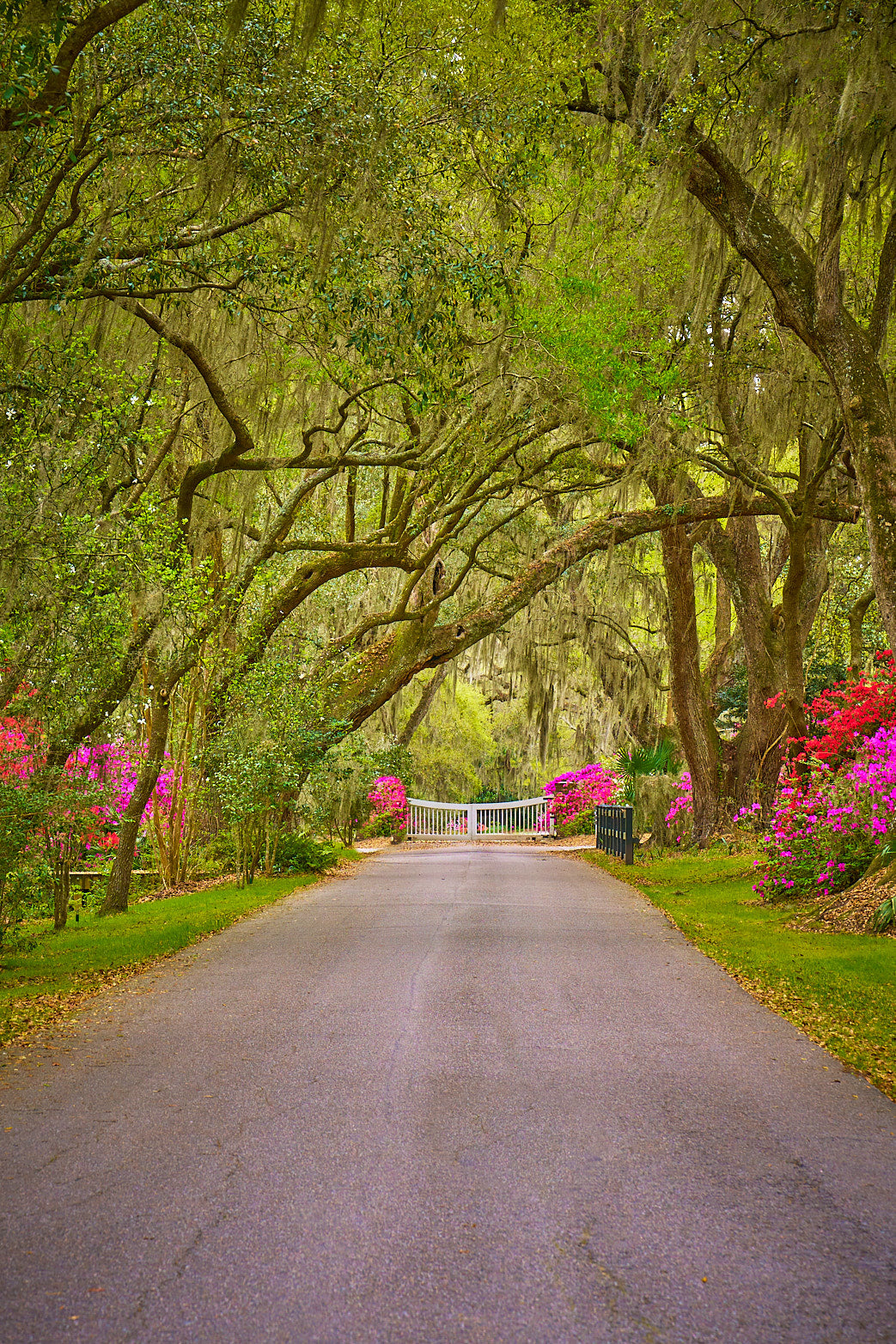 Fine art landscape photography of spring gateway by Patrick J. Quigley