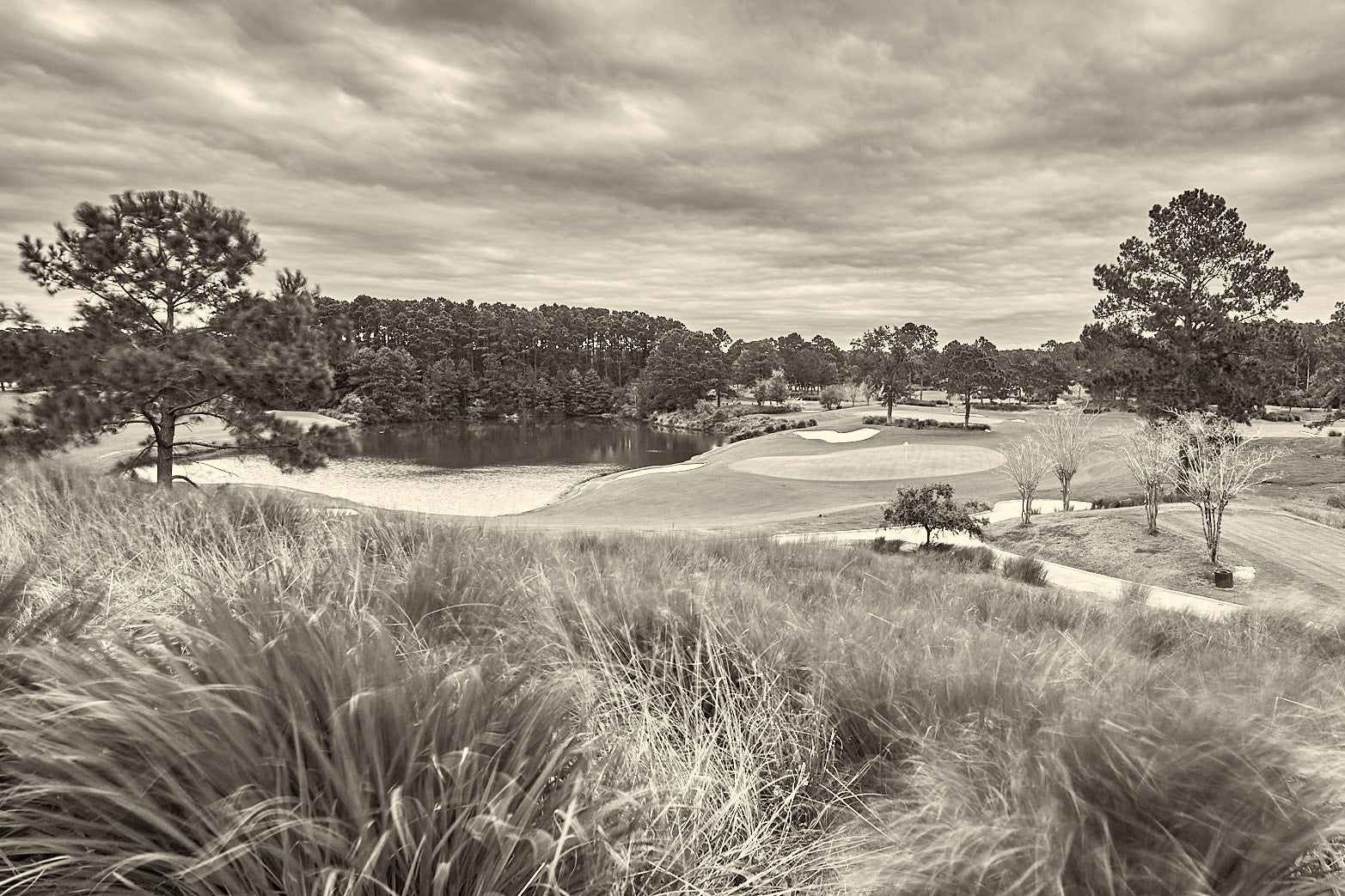 Fine art golf course photography of 7th north at berkeley hall by Patrick J. Quigley