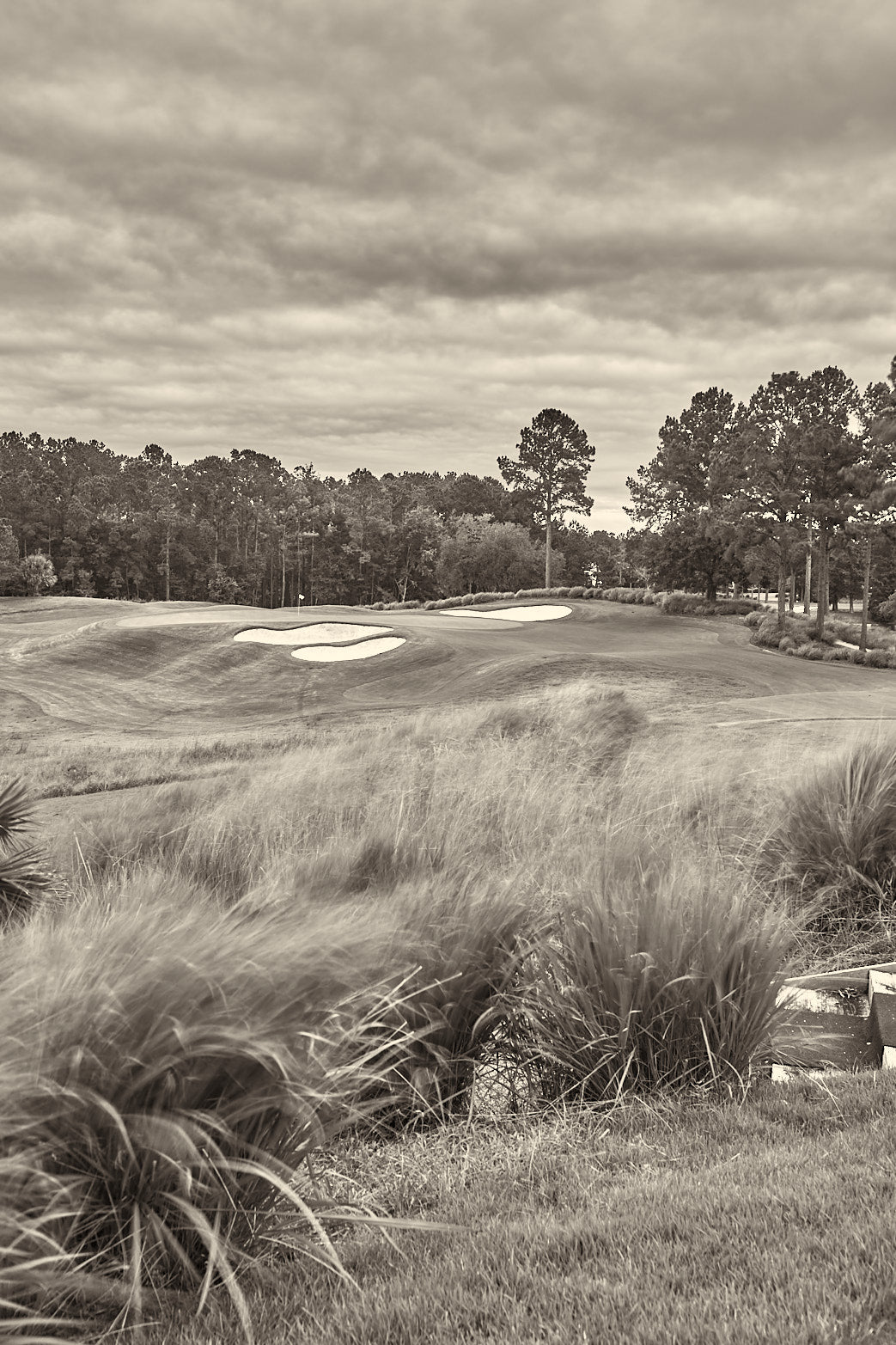 Fine art golf course photography of a scenic hole at berkeley hall by Patrick J. Quigley