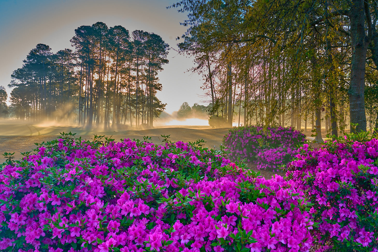 Fine art golf course photography of a scenic hole at berkeley hall by Patrick J. Quigley