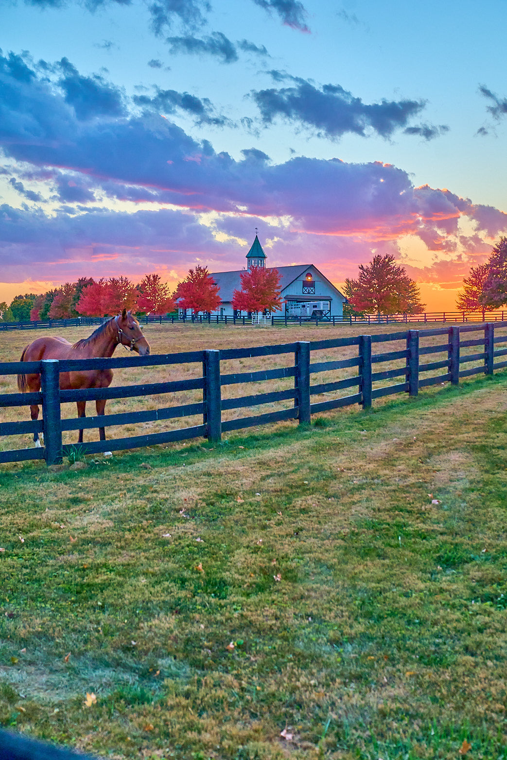 Fine art equestrian photography of thoroughbreds in kentucky by Patrick J. Quigley