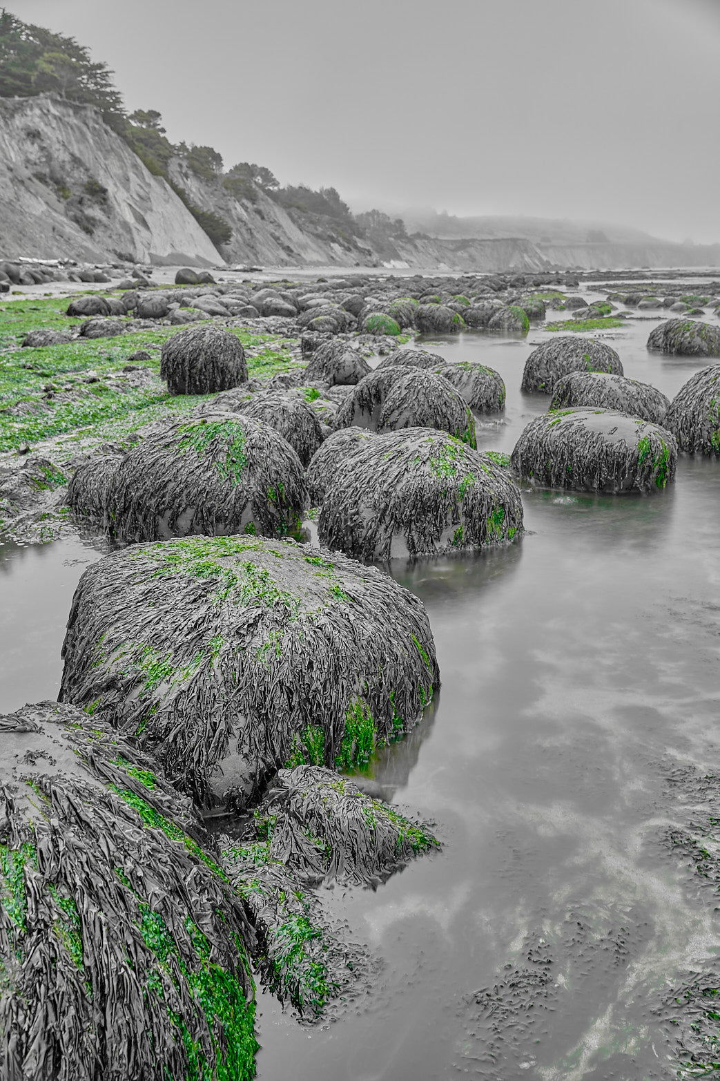 Fine art seascape photography of persistence by Patrick J. Quigley