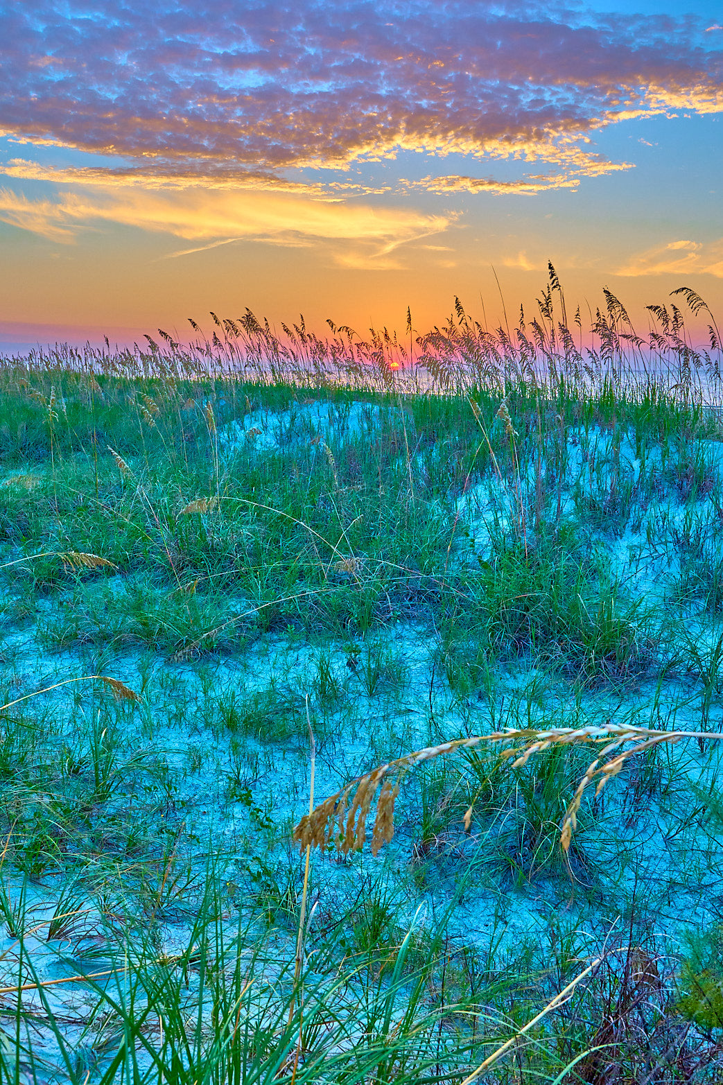 Fine art seascape photography of gentle dunes in the South Carolina Lowcountry by Patrick J. Quigley