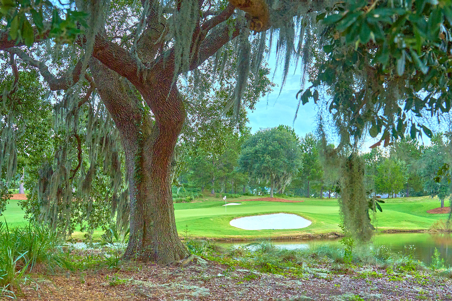 Fine art golf course photography of 12th north at berkeley hall by Patrick J. Quigley