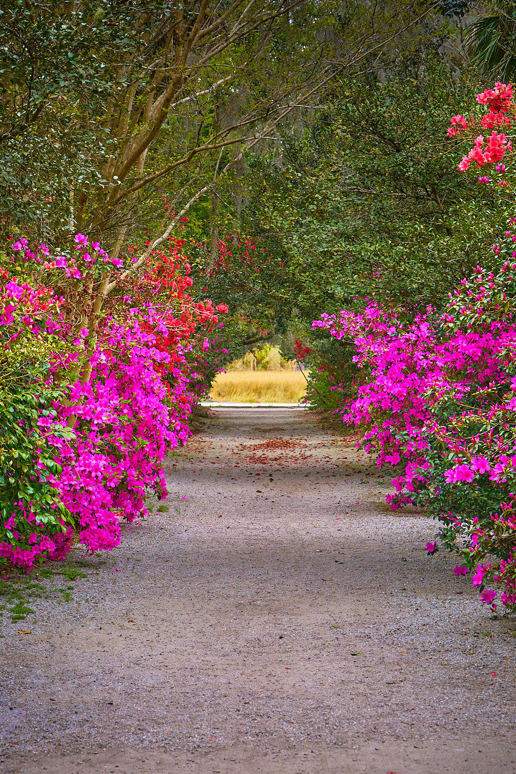 Fine art landscape photography of into the light by Patrick J. Quigley