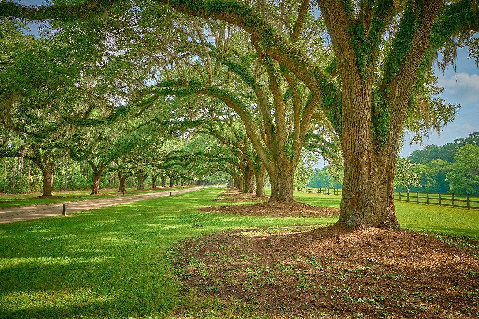 Fine art landscape photography of southern charm in the South Carolina Lowcountry by Patrick J. Quigley