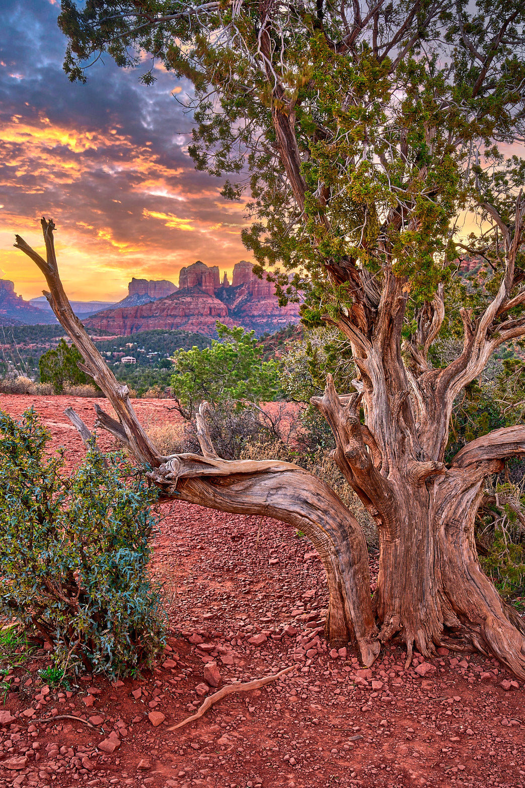 Fine art landscape photography of sunrise in sedona in the American West by Patrick J. Quigley