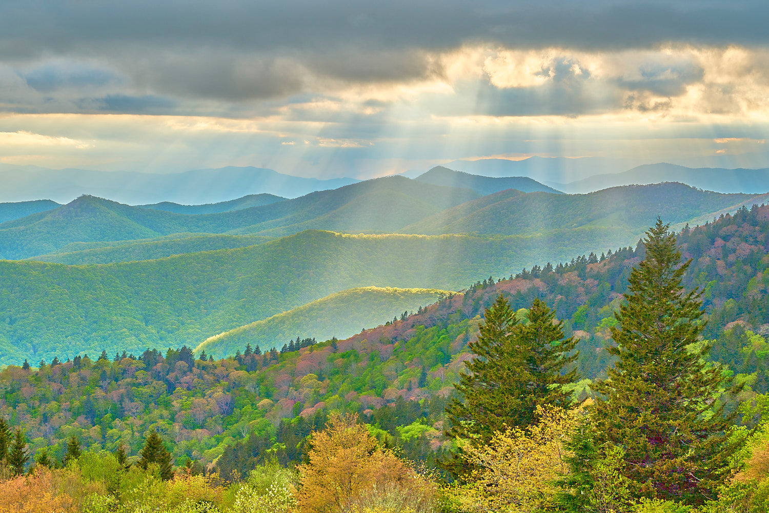 H. MOUNTAINS AND MEADOWS