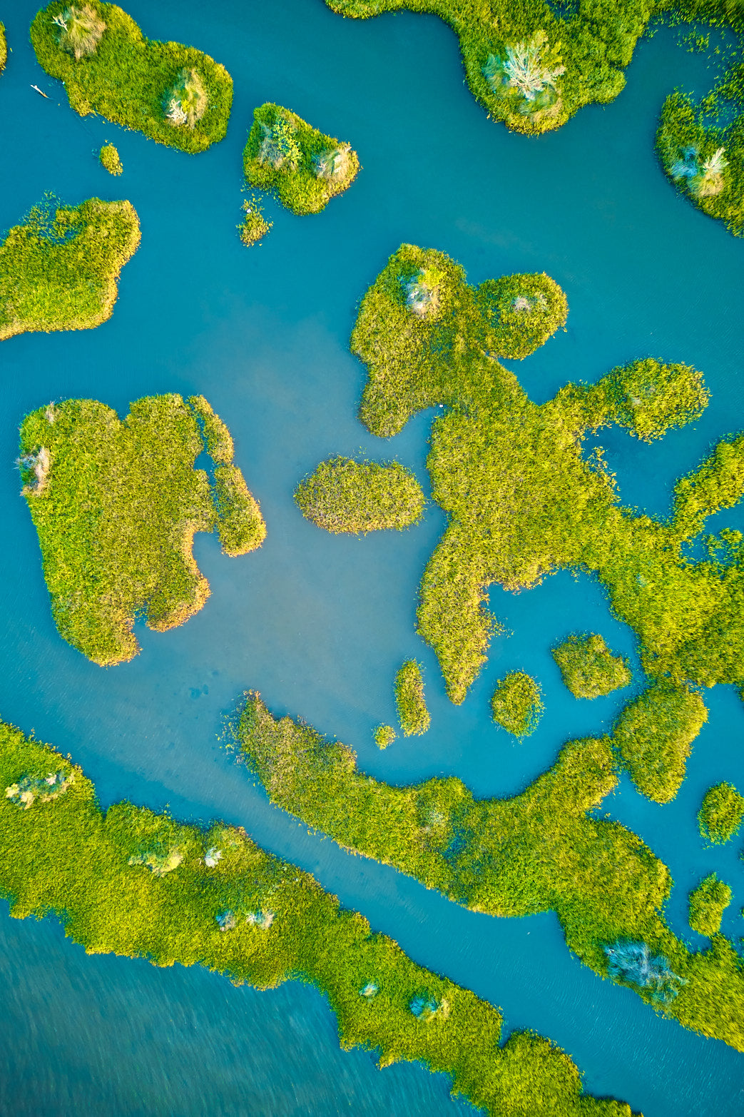 Fine art landscape photography of island beginnings 3 in the South Carolina Lowcountry by Patrick J. Quigley