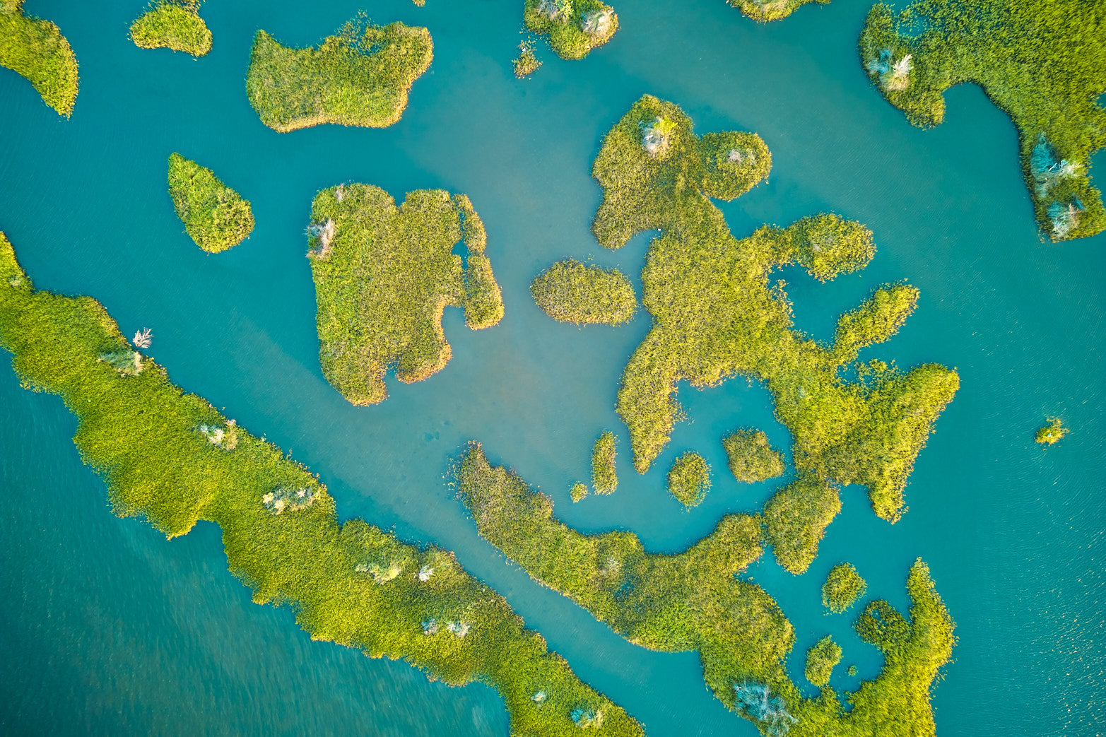 Fine art landscape photography of island beginnings 2 in the South Carolina Lowcountry by Patrick J. Quigley