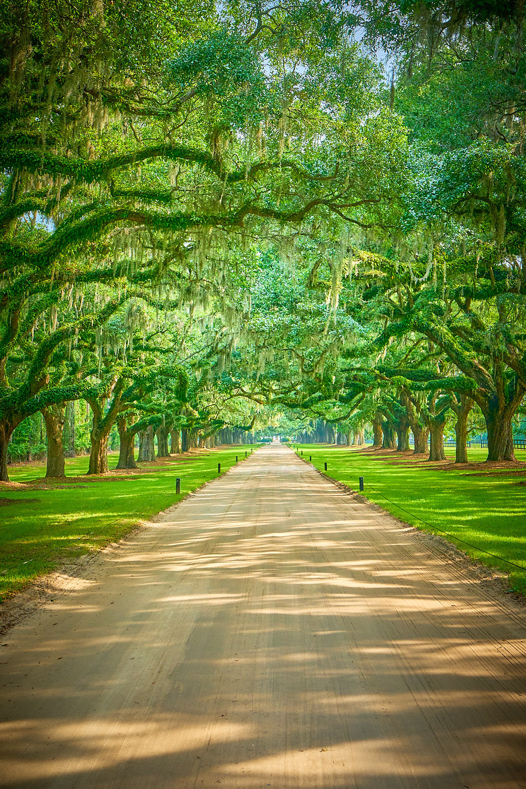 Fine art landscape photography of oak street in the South Carolina Lowcountry by Patrick J. Quigley