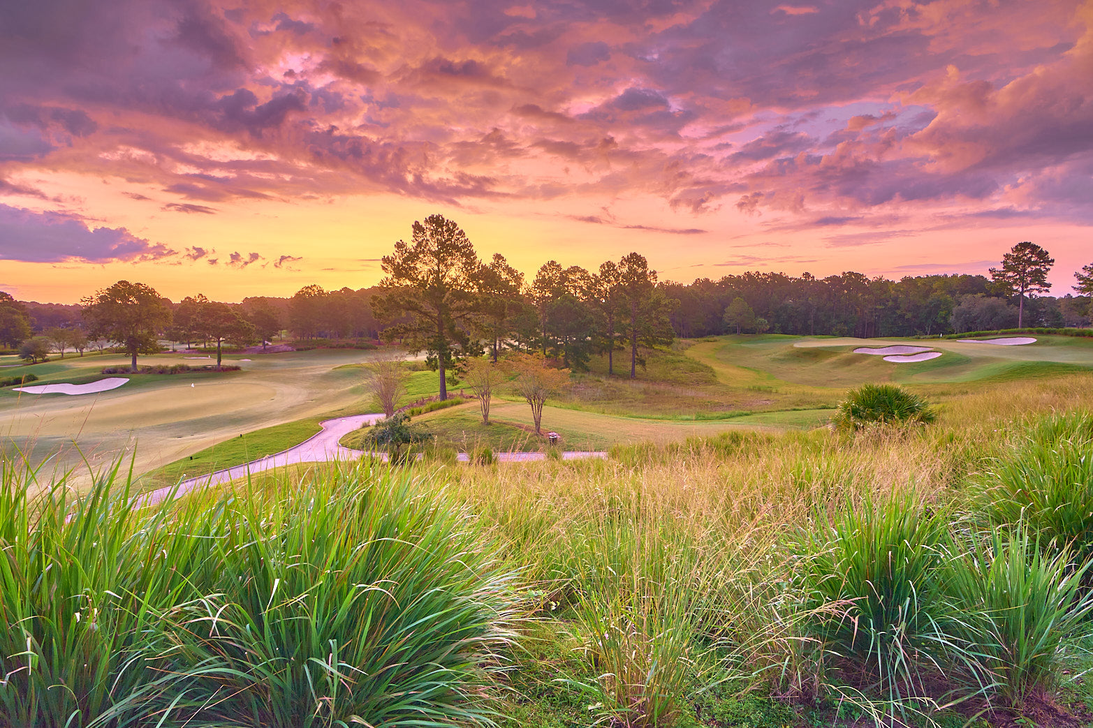 Fine art golf course photography of 7th north at berkeley hall by Patrick J. Quigley