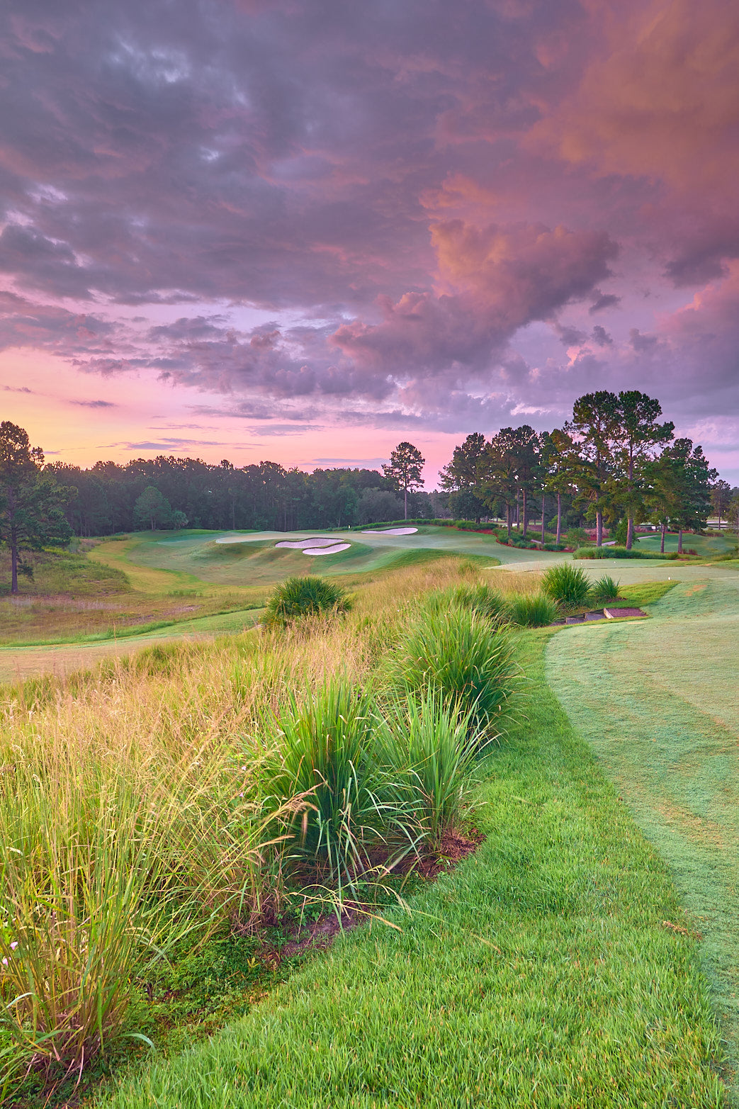 Fine art golf course photography of a scenic hole at berkeley hall by Patrick J. Quigley