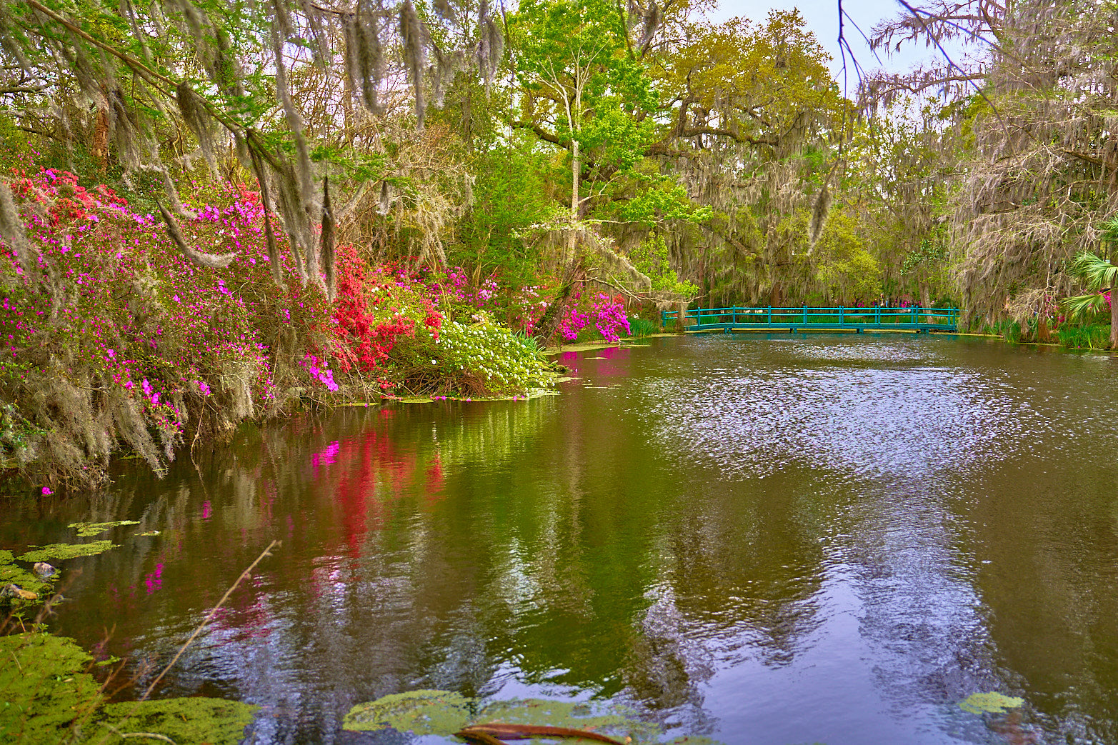 Fine art landscape photography of cypress lagoon by Patrick J. Quigley