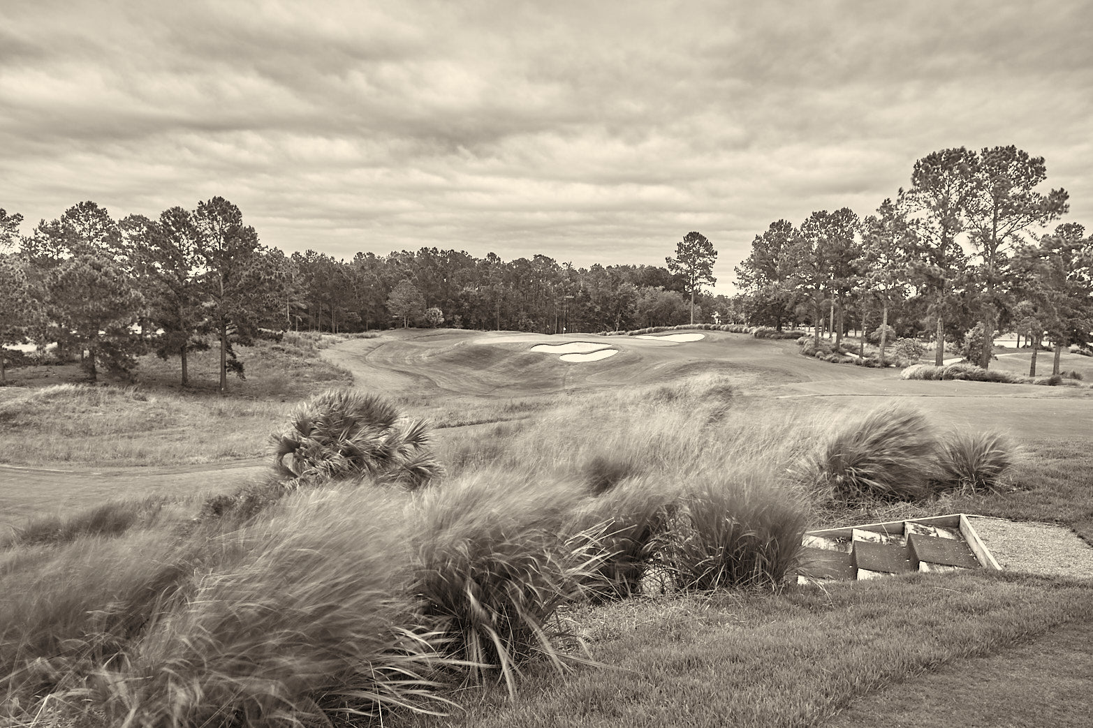 Fine art golf course photography of 8th north at berkeley hall by Patrick J. Quigley