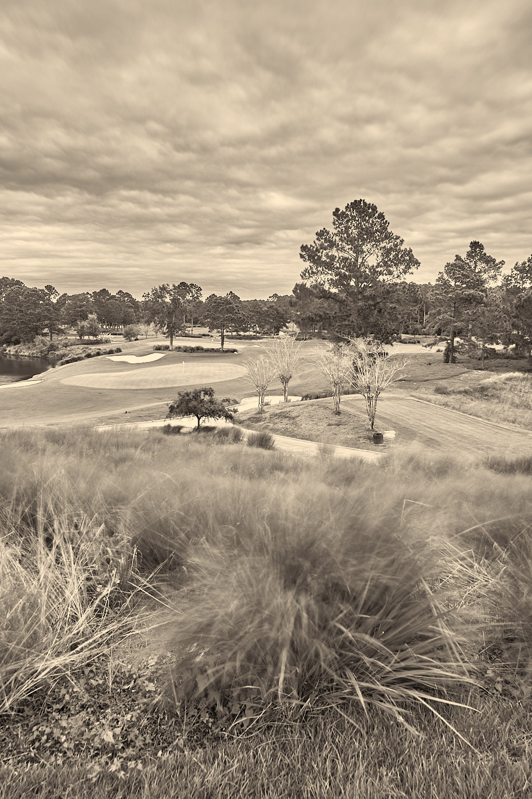 Fine art golf course photography of a scenic hole at berkeley hall by Patrick J. Quigley