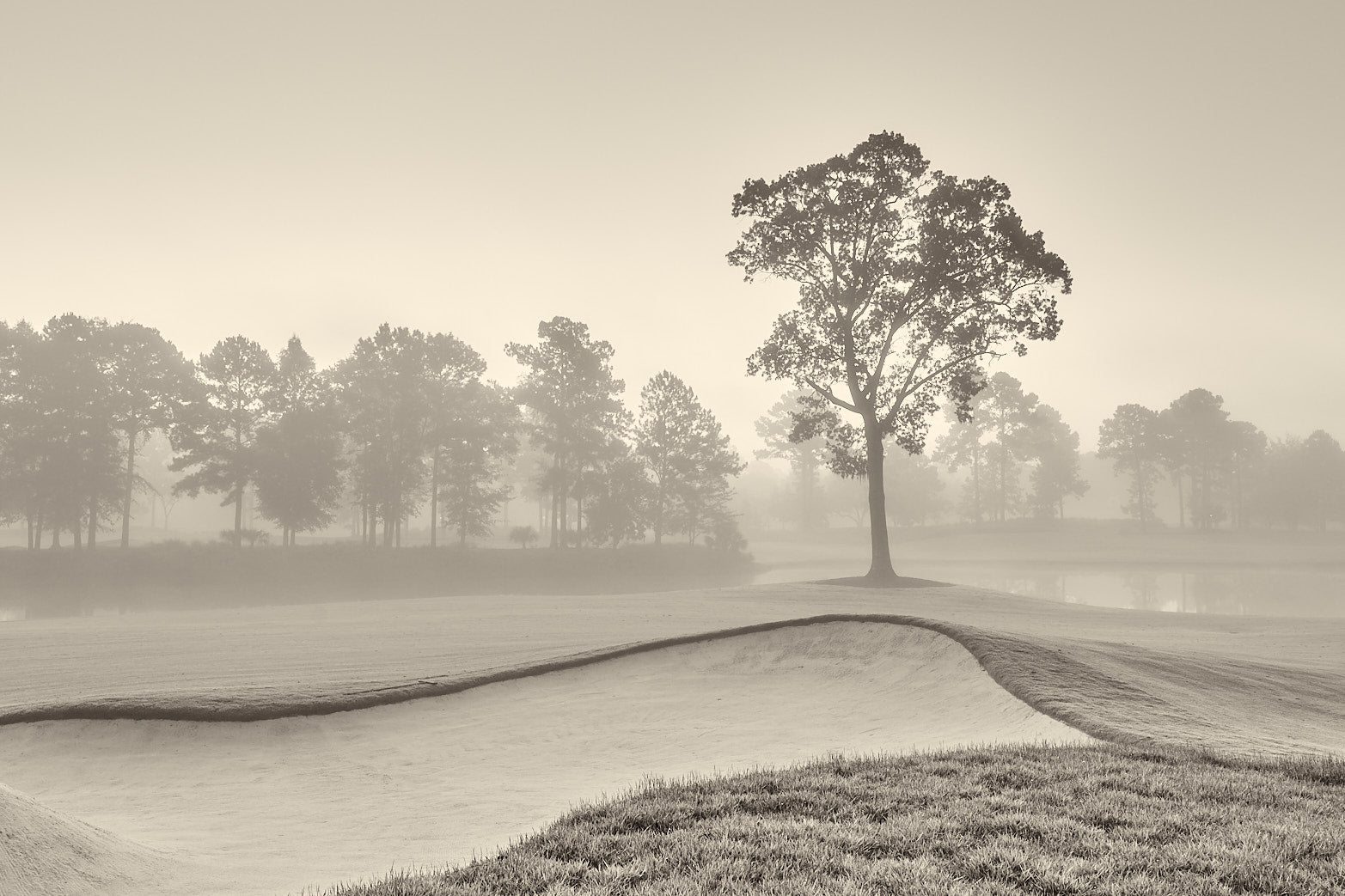 Fine art golf course photography of 9th north at berkeley hall by Patrick J. Quigley
