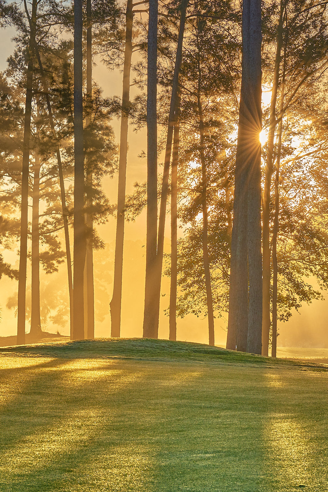 Fine art golf course photography of a scenic hole at berkeley hall by Patrick J. Quigley