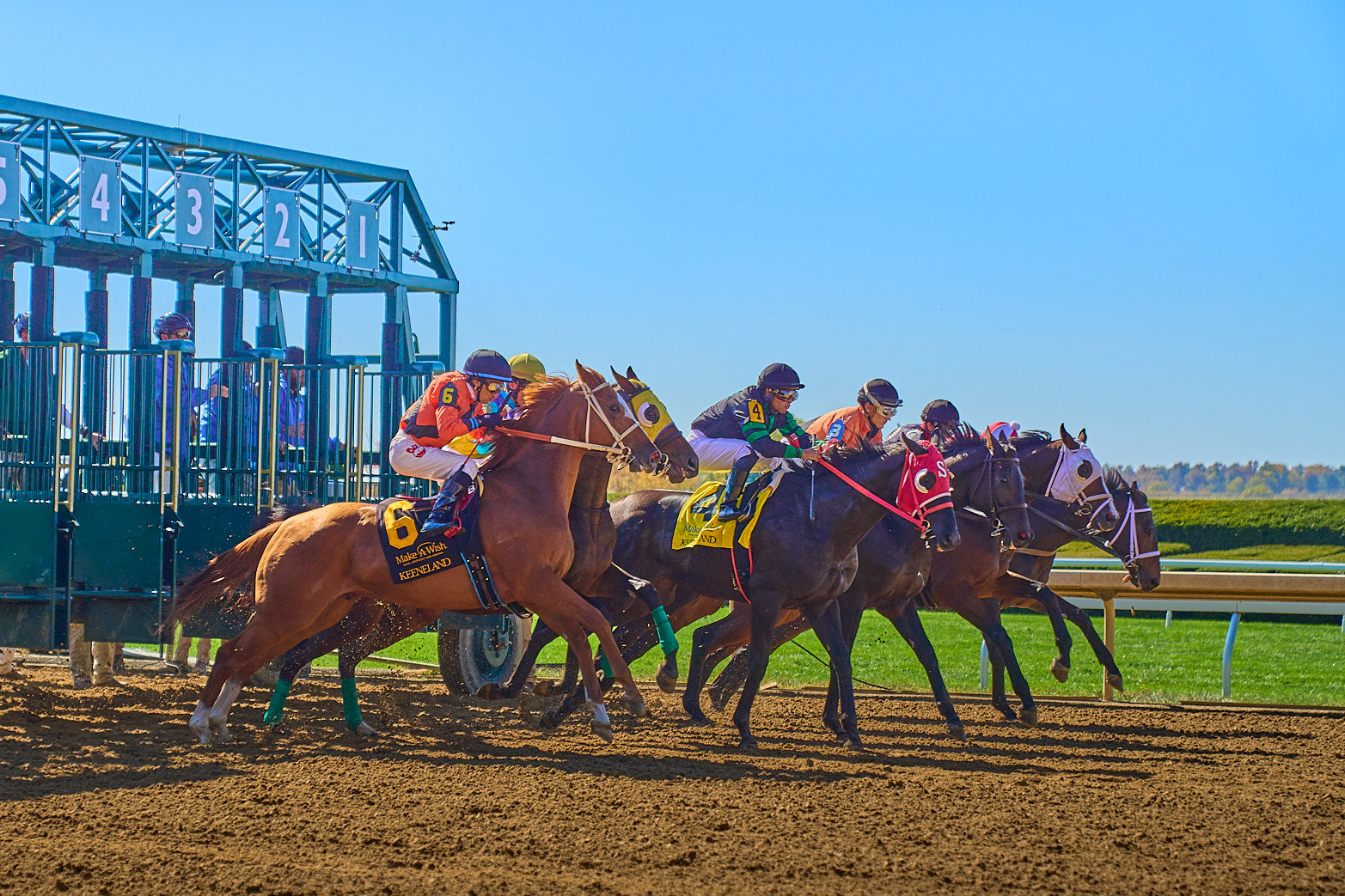 Fine art equestrian photography of thoroughbreds in keeneland, lexington, kentucky by Patrick J. Quigley