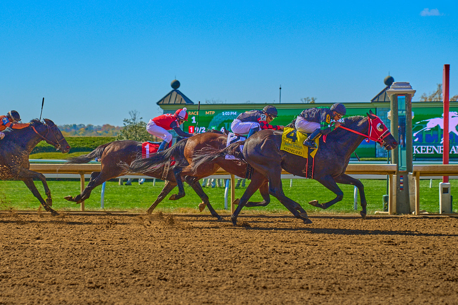 Fine art equestrian photography of thoroughbreds in keeneland, lexington, kentucky by Patrick J. Quigley