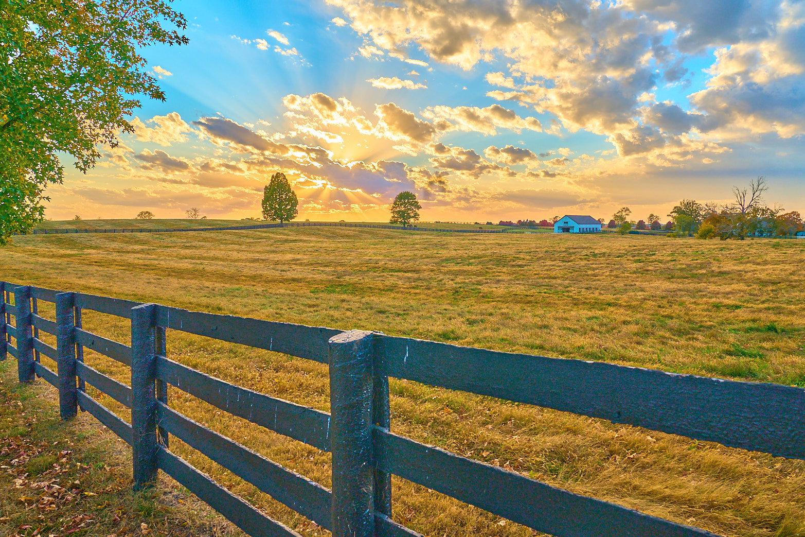 Fine art equestrian photography of horses in kentucky horse country by Patrick J. Quigley