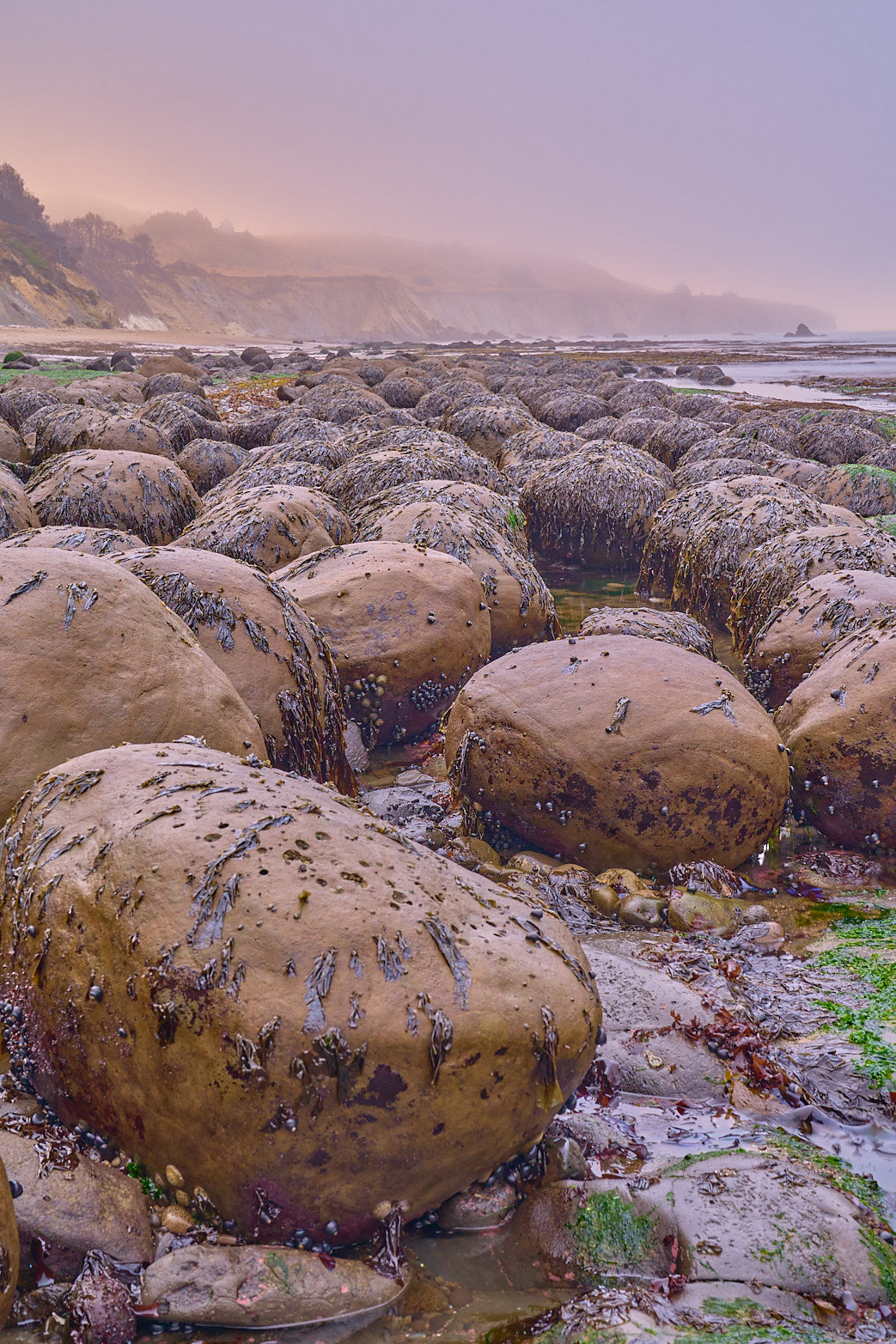 Fine art seascape photography of mendocino dawn by Patrick J. Quigley