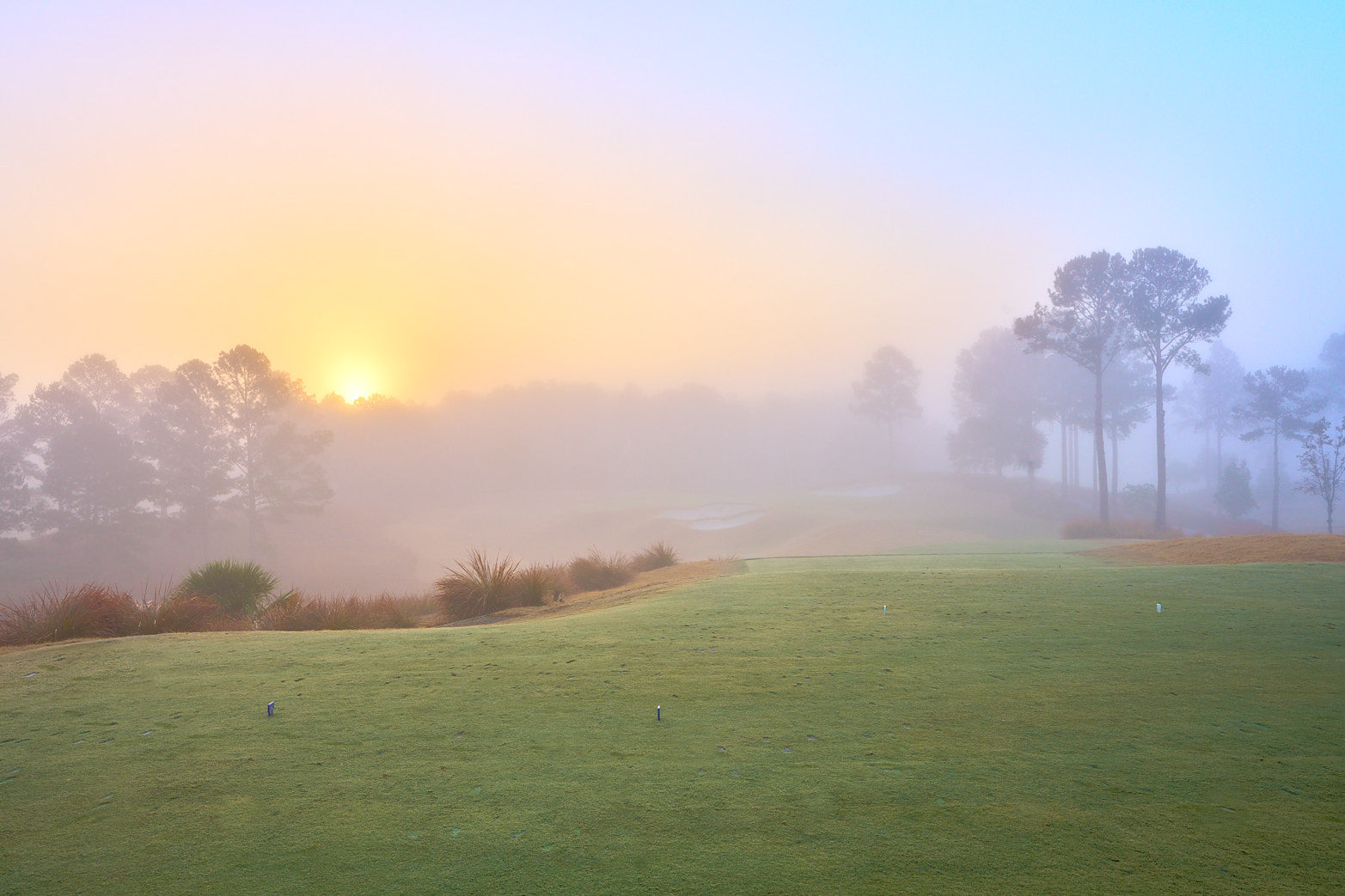 Fine art golf course photography of 8th north at berkeley hall by Patrick J. Quigley