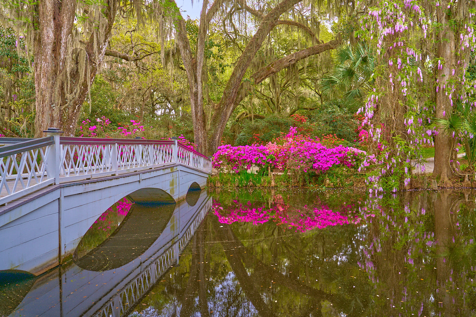 Fine art landscape photography of wisteria bridge by Patrick J. Quigley