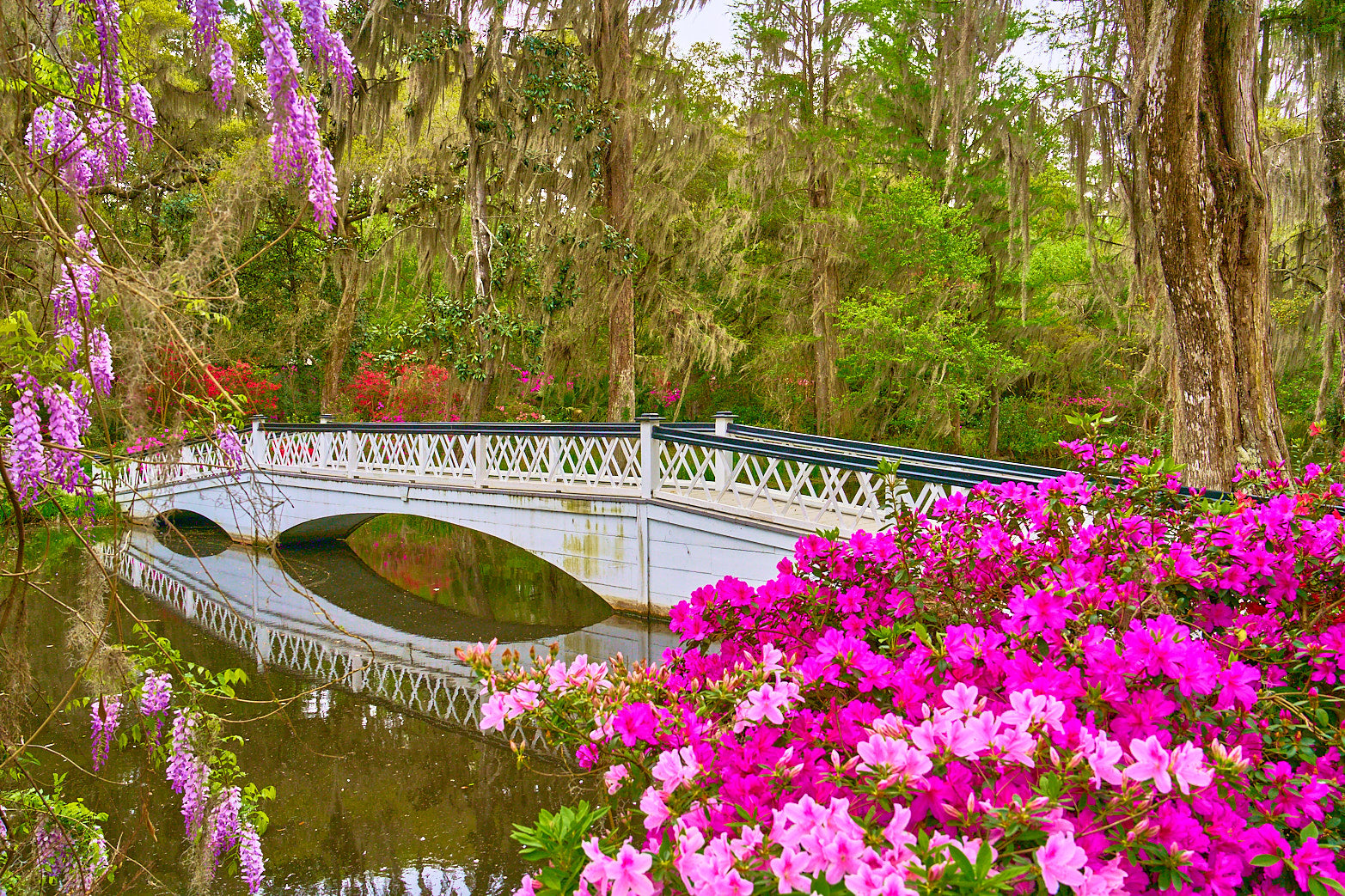 Fine art landscape photography of spring bridge in the South Carolina Lowcountry by Patrick J. Quigley