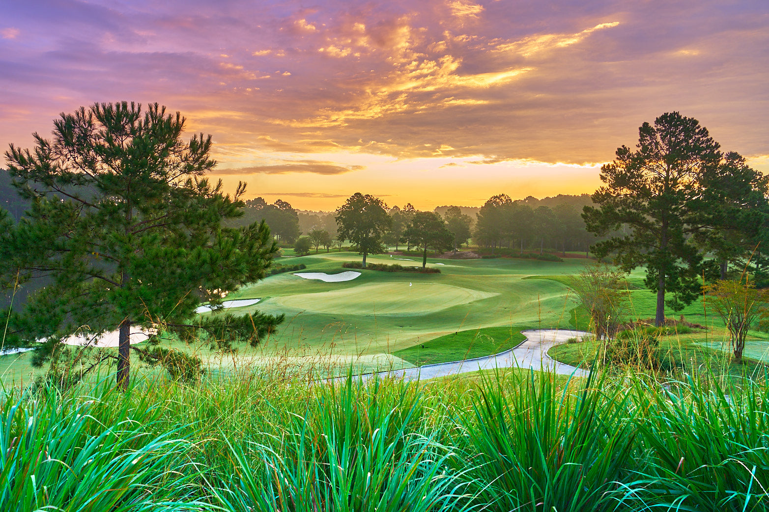 Fine art golf course photography of 7th north at berkeley hall by Patrick J. Quigley