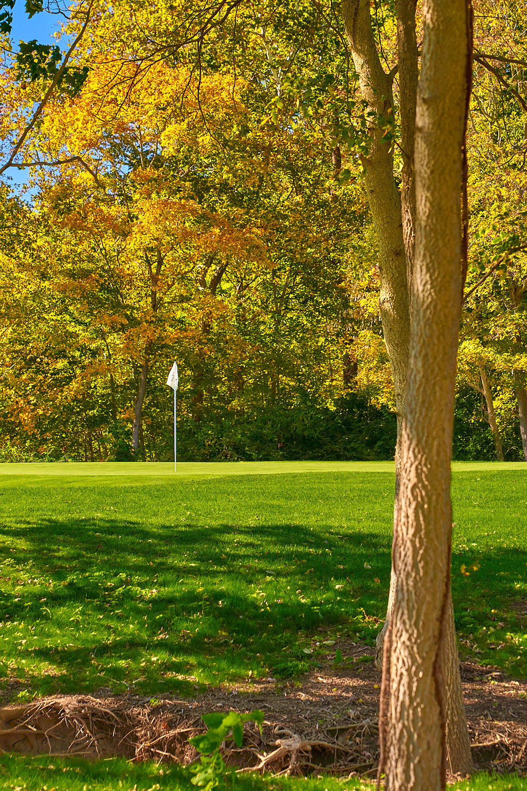 Fine art golf course photography of a scenic hole at heritage club by Patrick J. Quigley