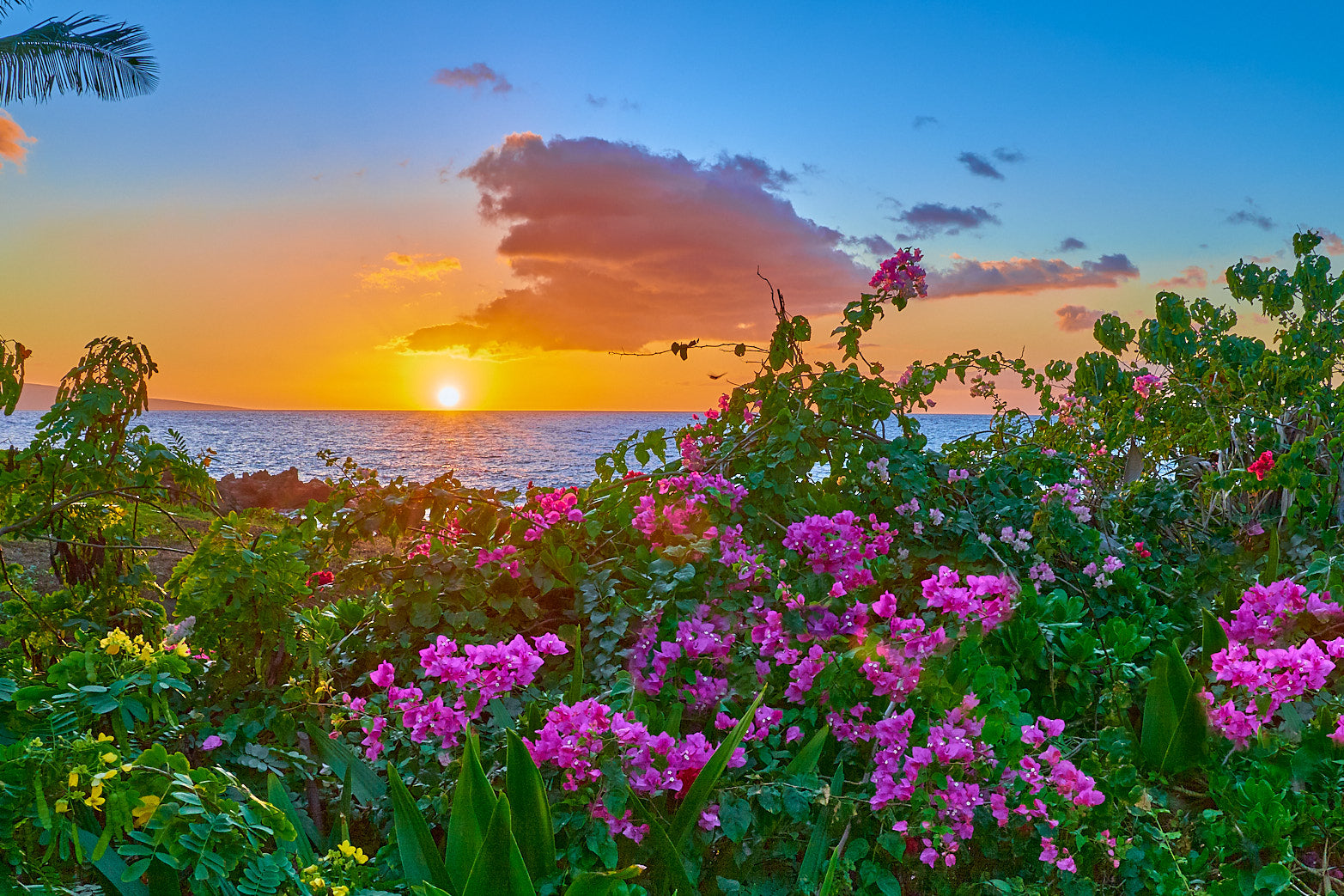 Fine art seascape photography of maui sunset by Patrick J. Quigley