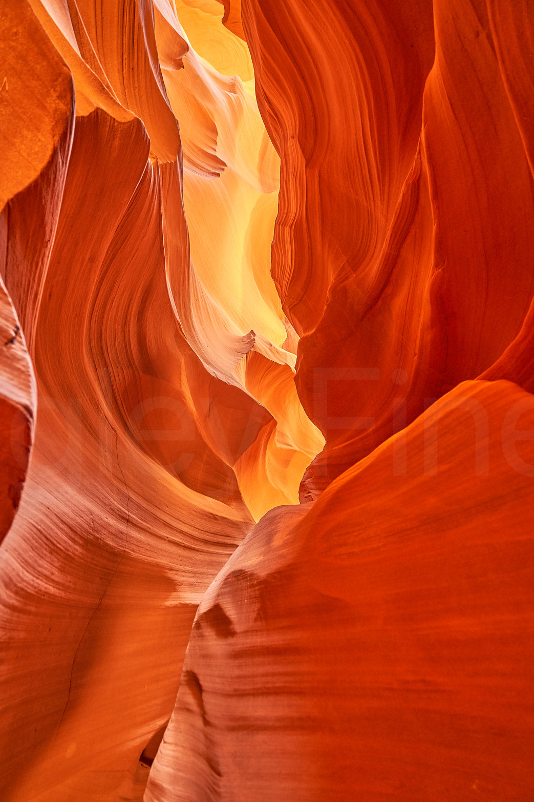 Fire in the Canyon